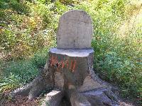 Bild 9498