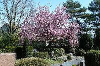 Bild 9632