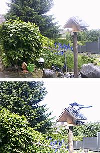 Bild 9758