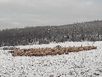Bild 10234