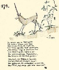 Bild 10976