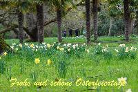 Bild 11352