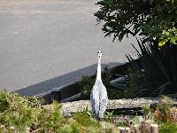 Bild 11411