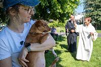 Bild 11432
