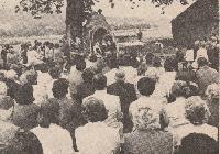 Bild 11953