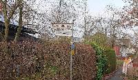 Bild 12339