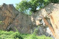 Bild 12442