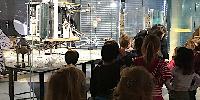 Bild 12581
